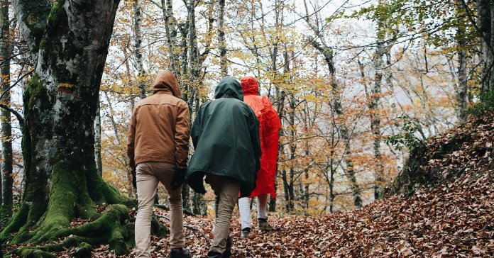 Tri osobe hodaju stazom prekrivenom lišćem u jesen.